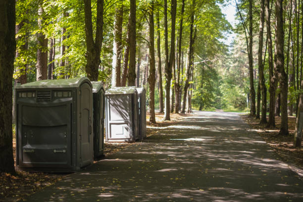 Best Affordable portable toilet rental  in Sutton Alpine, AK